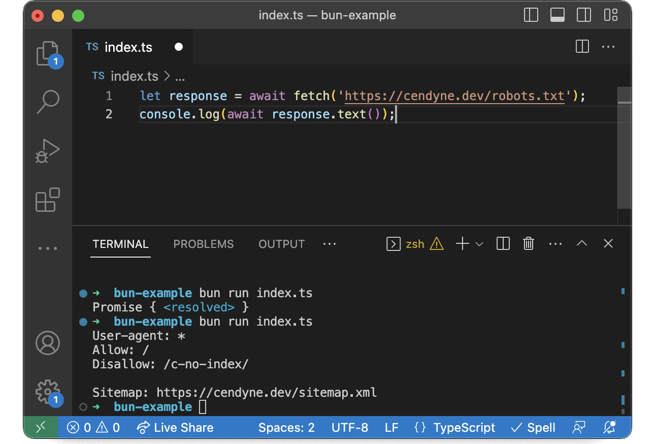 A screenshot of VS Code. The code requests robots.txt from this website and it prints out in the console below. Bun is used to execute the script file index dot ts.