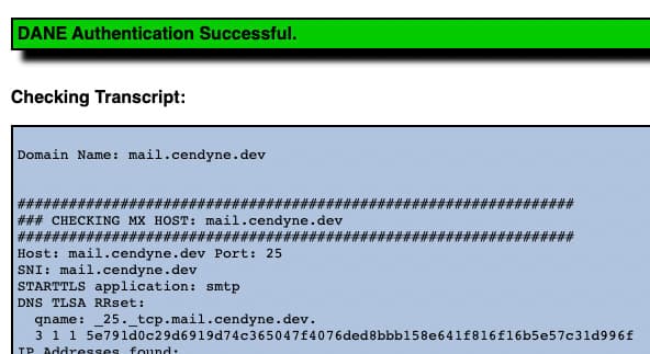 DANE authentication check