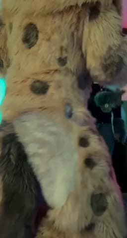 ギンジ the hyena dancing