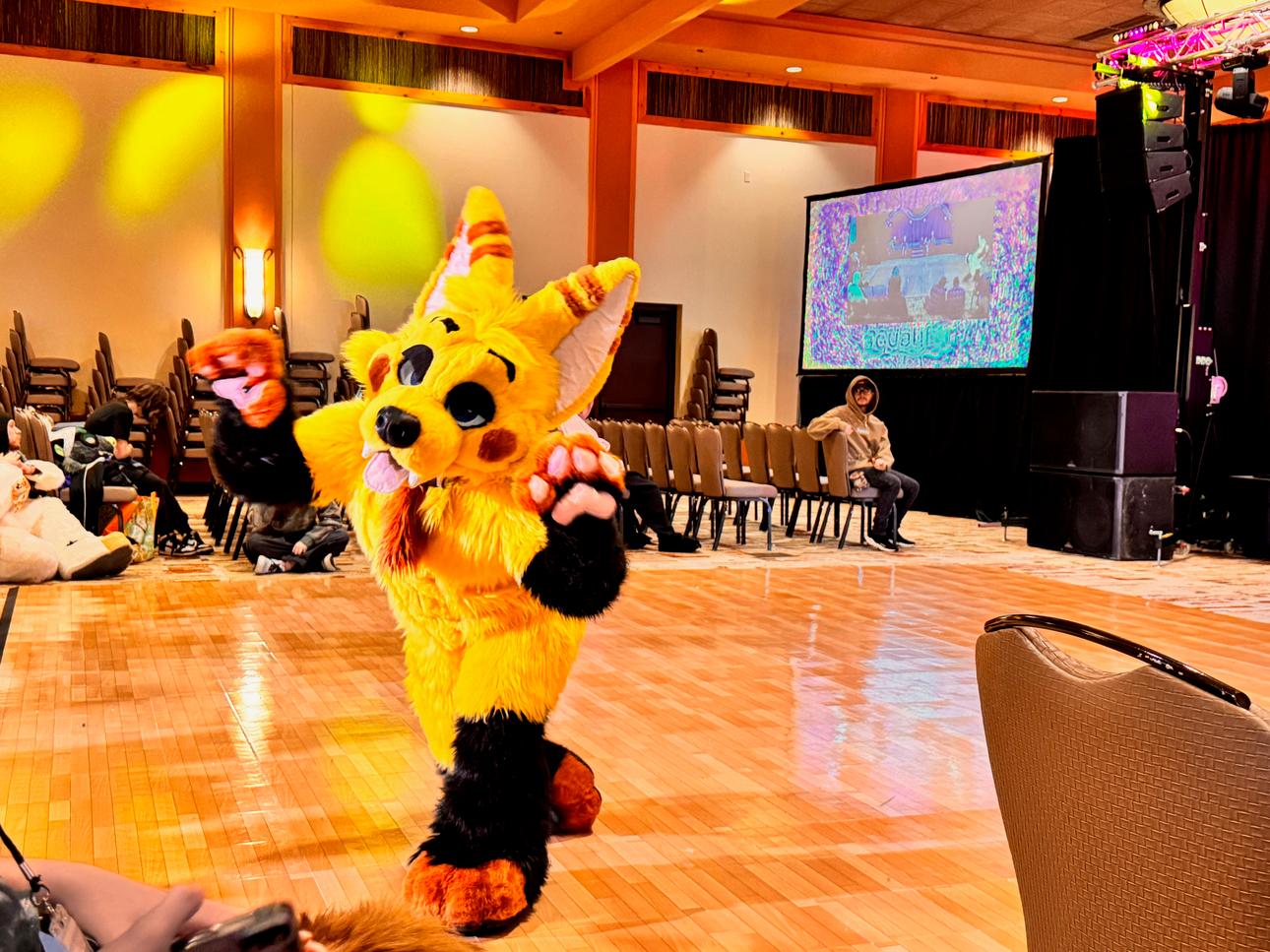 A dog on a dance floor posing