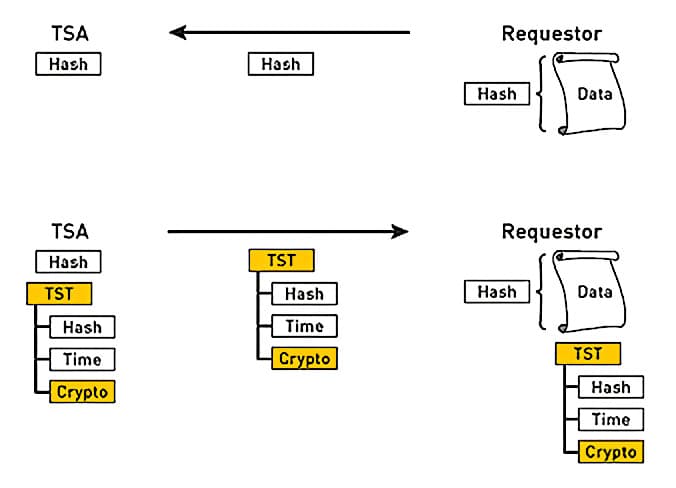 Time Stamping Hashes Content