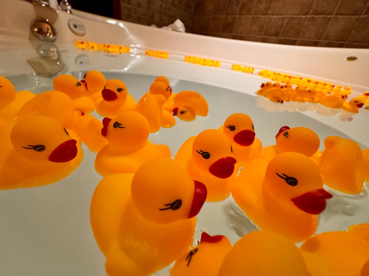 An absurd amount of rubber ducks in a jacuzzi