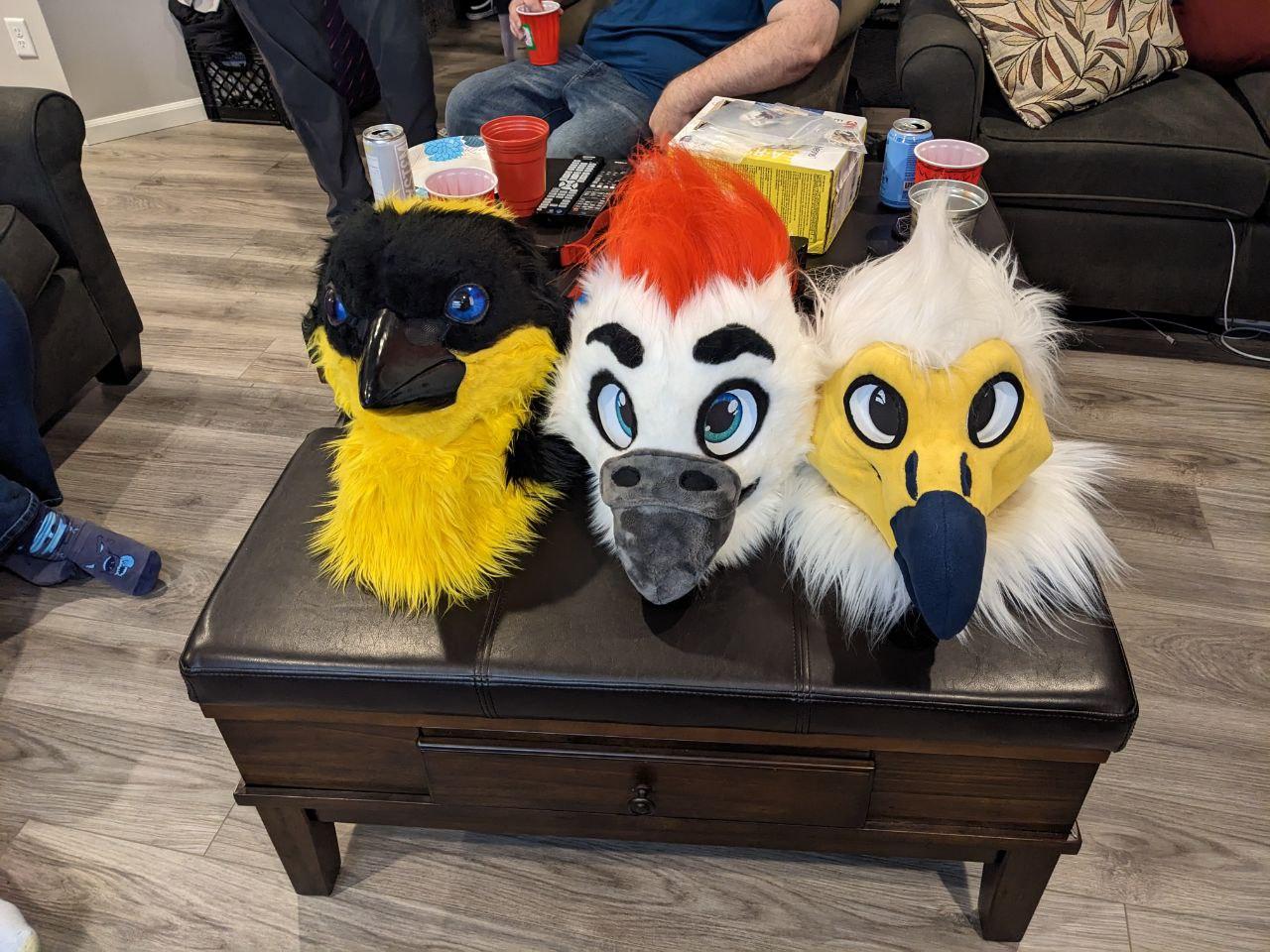 fur suit heads, each one a different kind of bird