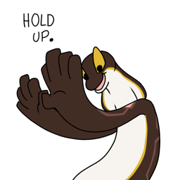 hold-up