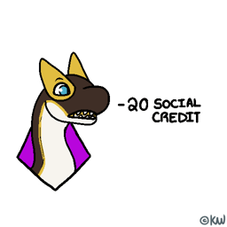 social-credit-20